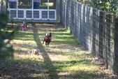 Enlarge photo 134