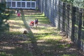 Enlarge photo 135