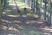Enlarge photo 138