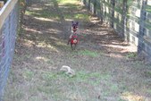 Enlarge photo 140