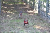 Enlarge photo 141