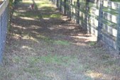 Enlarge photo 142