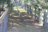 Enlarge photo 143