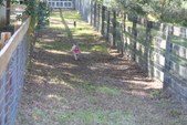 Enlarge photo 144