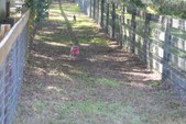 Enlarge photo 145
