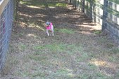 Enlarge photo 147
