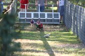 Enlarge photo 148