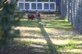 Enlarge photo 149