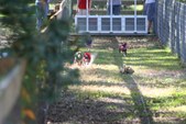 Enlarge photo 151
