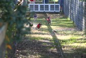 Enlarge photo 152