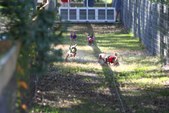 Enlarge photo 153