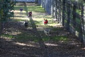 Enlarge photo 155