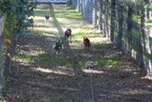 Enlarge photo 156