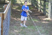 Enlarge photo 165