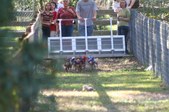 Enlarge photo 169