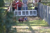 Enlarge photo 170