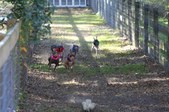 Enlarge photo 176