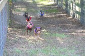 Enlarge photo 178