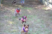 Enlarge photo 179