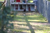 Enlarge photo 182
