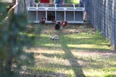 Enlarge photo 183