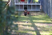 Enlarge photo 185