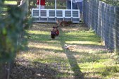 Enlarge photo 209