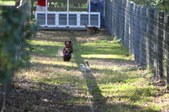 Enlarge photo 210