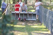 Enlarge photo 226