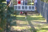 Enlarge photo 229