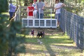 Enlarge photo 230