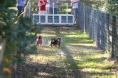Enlarge photo 232