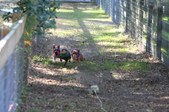 Enlarge photo 236