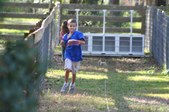 Enlarge photo 244