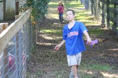Enlarge photo 245