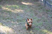 Enlarge photo 263