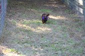 Enlarge photo 264