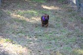 Enlarge photo 265