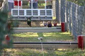 Enlarge photo 274