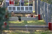 Enlarge photo 275