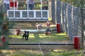 Enlarge photo 276