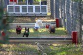 Enlarge photo 277