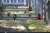 Enlarge photo 278