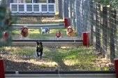 Enlarge photo 279