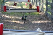 Enlarge photo 283
