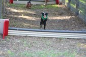 Enlarge photo 284