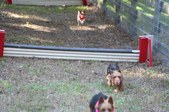 Enlarge photo 289