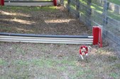 Enlarge photo 293