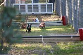 Enlarge photo 294