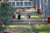 Enlarge photo 295